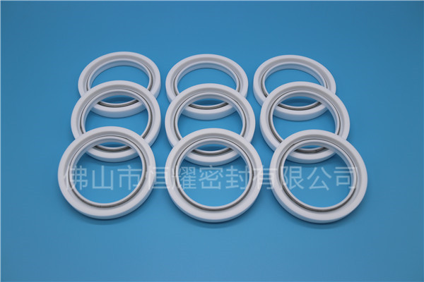 四氟骨架油封 (1)