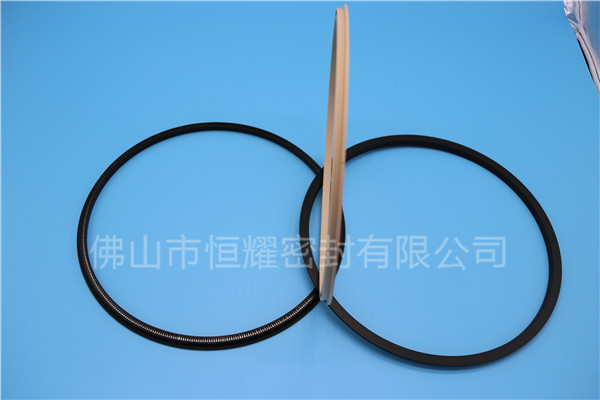 HOD、HVD旋转泛塞封 (18)