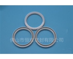 食品机械密封件 (121)