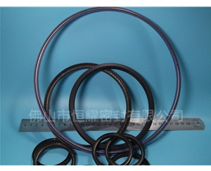 喷涂设备密封圈 (3)