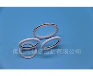 激光头密封圈 (12)